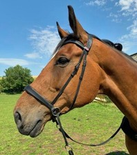 Easytrek UK Bitless Comfort & Anatomical Leather Bridle - RRP £59.00