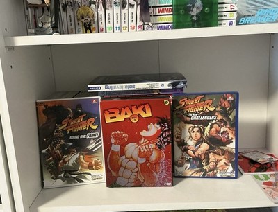 Anime Filme / Serie Baki und Street fighter