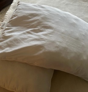 2 White Standard Bed Pillows Good Condition Soft