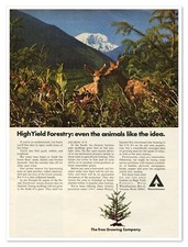 Print Ad Weyerhaeuser High Yield Forestry Vintage 1972 Advertisement