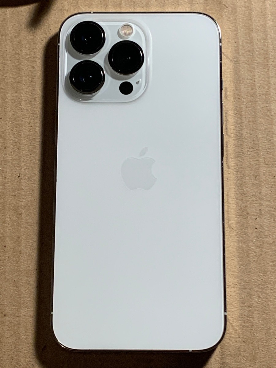Apple iPhone 13 Pro - 128GB - Silver Unlocked (CDMA + GSM) A2483