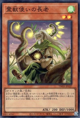 Yu-Gi-Oh OCG Ritual Beast Tamer Elder TW01-JP127 Terminal World Super Rare NM JP
