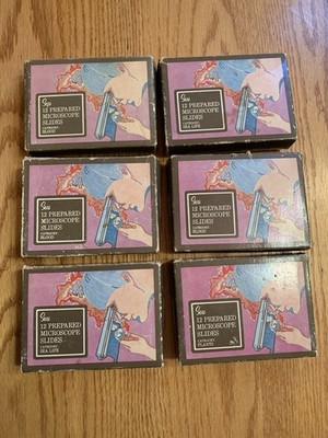 Vintage Sears Prepared Microscope Slides Educational Specimens- Incomplete Set
