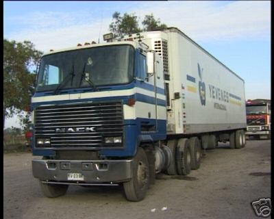 SOUTH AMERICAN TRUCKS 1996 PMP DVD 435 ARGENTINA CHILE - Picture 1 of 2