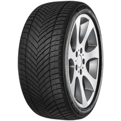 MINERVA Ganzjahresreifen 225/55 R18 TL 98V ALL SEASON MASTER M+S 3PMSF