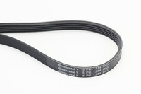 NEU - Continental Ctam 5PK1334 Keilrippenriemen FüR Chevrolet Opel