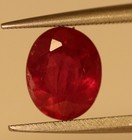 Bild 8 von 8
