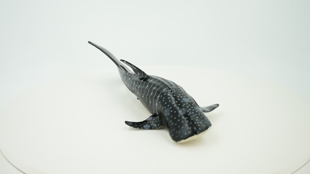 【未使用】H&O SHARKUN フィギュア Whale Shark, Realistic Hand Painted Figure, Figurine, Replica, 9