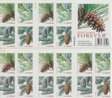 USPS Holiday Evergreens 1 ounce booklet of 20 stamps sent from OKC, OK