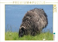 Calvendo Puzzle Schaf Auf GrüNen Land Von Helgoland | 1000 Teile Lege-GrößE 64X4