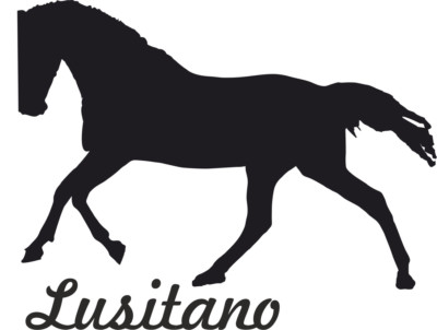 2x adesivi per auto  PINTO  cavallo Sticker taglio contorno (ca. 11x10 cm) (bianco