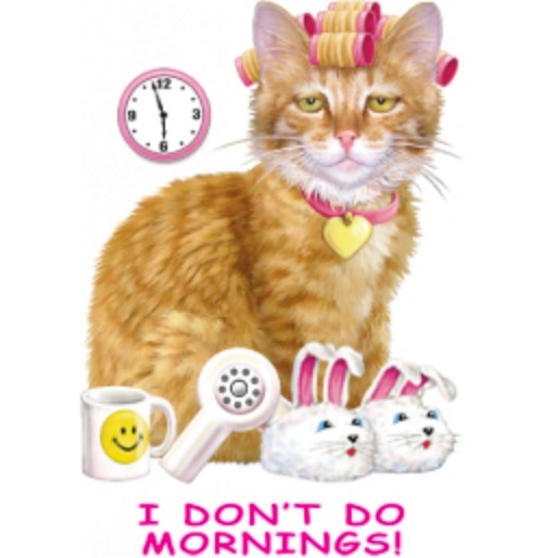 Funny Cat Lover Shirt - I Don't Do Mornings Tee with Cattitude & Pink Bunny Slippers Design