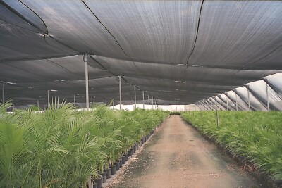 Cerbior 50% UV Block Sun Shade Cloth for Plant Cover Greenhouse Barn 10x12ft