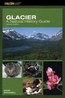 Glacier | A Natural History Guide | David Rockwell | Taschenbuch | Englisch