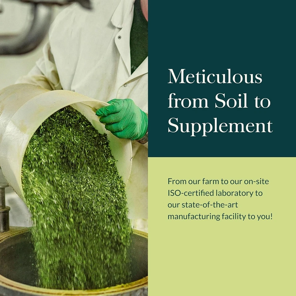 Травы эхинацея желтокорень Supreme желтокорень травяной питательный комплекс для - Изображение 3 из 4