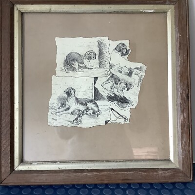 Hund Zeichnungen Hunde Original Skizze signiert NICHT Druck gerahmt viktorianisch 1880 selten