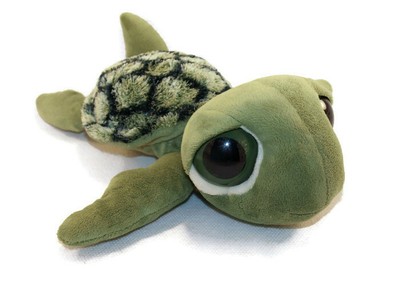 aurora turtle plush