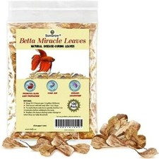 New Aquarium Indian Almond Leaves for Betta, Shrimp, Frogs, 100 Leaves 2 inches