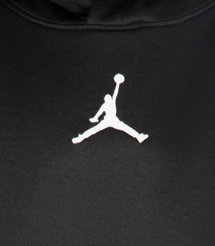 Nike Air Jordan Boys Therma Fit Hoodie, T-Shirt & Joggers Set LARGE 14 16 NWT - Picture 9 of 13