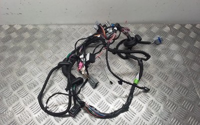 Tesla Model S 2019 Kabelbaum Leitungssatz Tür vorne 100442401U IME20793