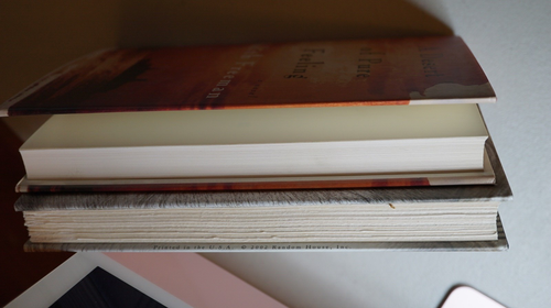 A Desert of Pure Feeling + Red Water A Novel by Freeman Judith Signed Autograph - Picture 7 of 8