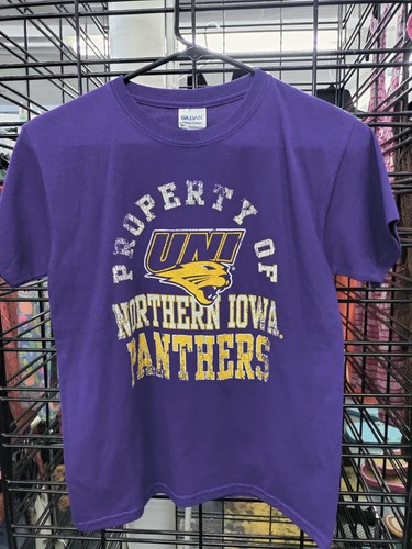 Youth T Shirt, New, Purple, Medium, Brand Gildan, Northern Iowa Panthers - 第 1/3 張圖片