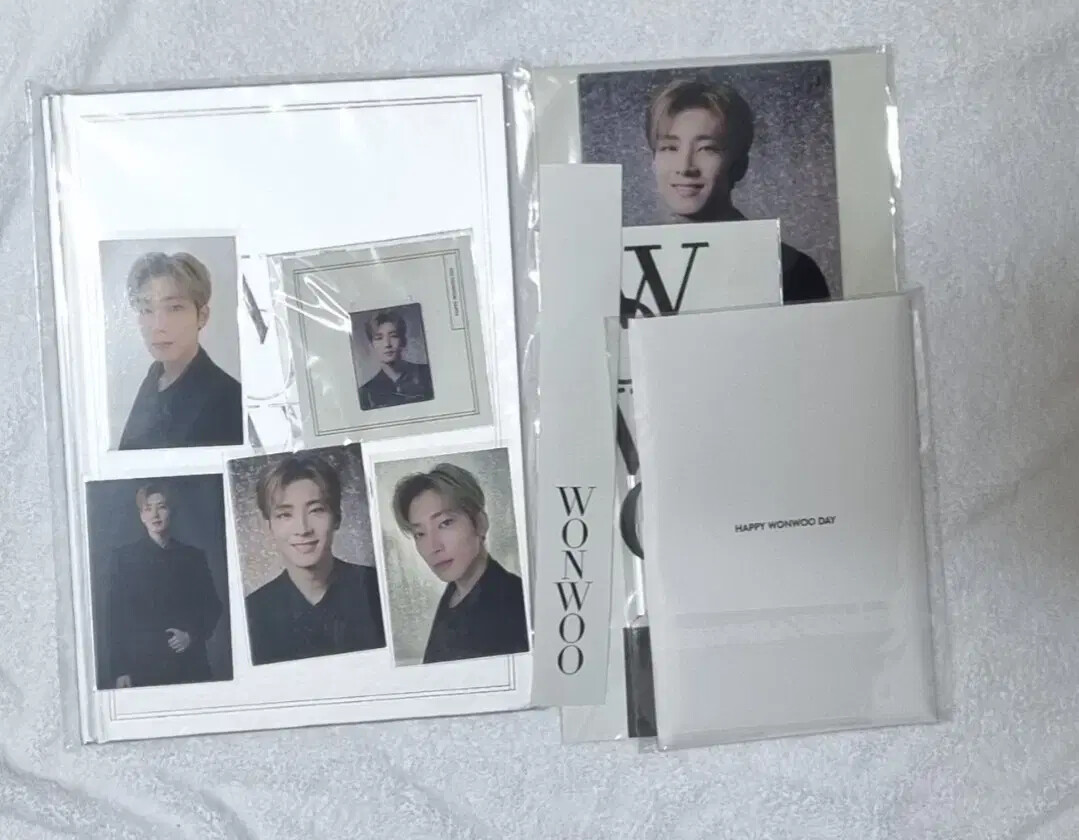 SEVENTEEN - SEVENTEEN WONWOO ウォヌ Birthday package SEVENTEEN - Happy Wonwoo Day Birthday Box ver.4 – Kpop Omo
