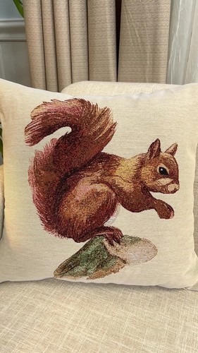 18x18 In Squirrel Pillow Cover Sofa Cushion Case Decorative Throw Covers - Video 1 of 1