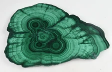Malachite Stalactite Slice from Congo 12.2 cm  # 20173