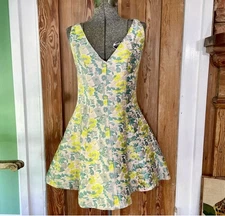 💥Opening Ceremony Floral Jacquard Fit & Flare Dress – Size 2🧡