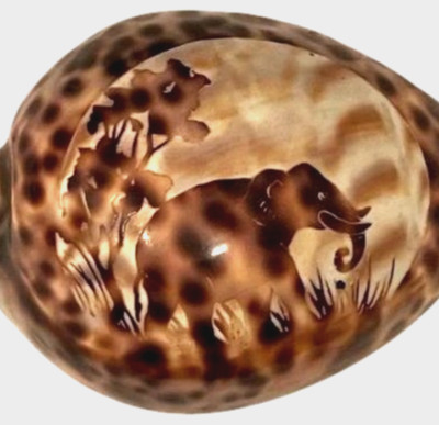 Hand Carved Cypraea Tigris Cowrie Shell with Elephant Scene   3  Vintage Decor