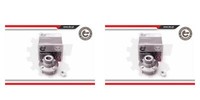 Esen SKV 2X Radnabe Radlagersatz Hinten FüR Mitsubishi Colt V Carisma Proton