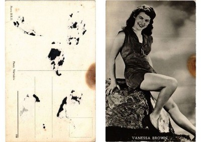 CPA Vanessa Brown Filmstar (557707)