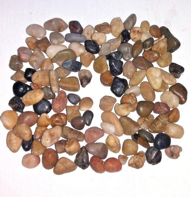 720 gr Holy Land RARE Stones sea of galilee jesus christ miracles bible