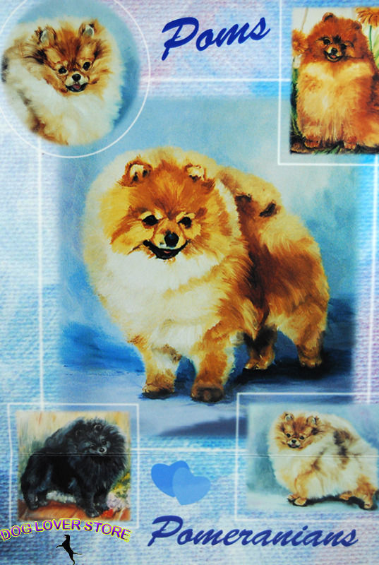 Pomeranian Gift Wrapping Paper