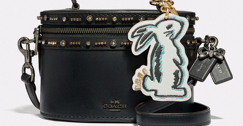 coach selena gomez bunny