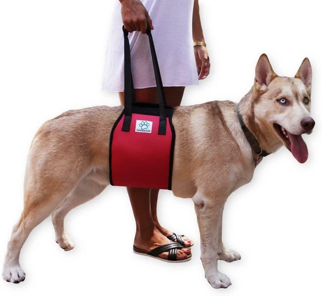 dog leg sling