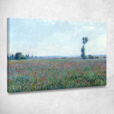 Campo Di Mohn 1881 Claude Monet, mnt46 Gemälde auf Leinwand gedruckt