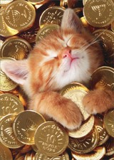 Kitten With Gold Coins Avanti Cute Cat Hanukkah Card Kitten With Gold Coins Avanti Cute Cat Hanukkah Card