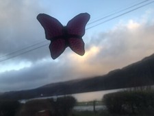 glasmalerei schmetterling sonnenfänger