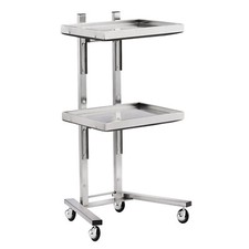 2 Tier Beauty Salon SPA Rolling Cart Stainless Steel Stand Rolling Tray Mobile