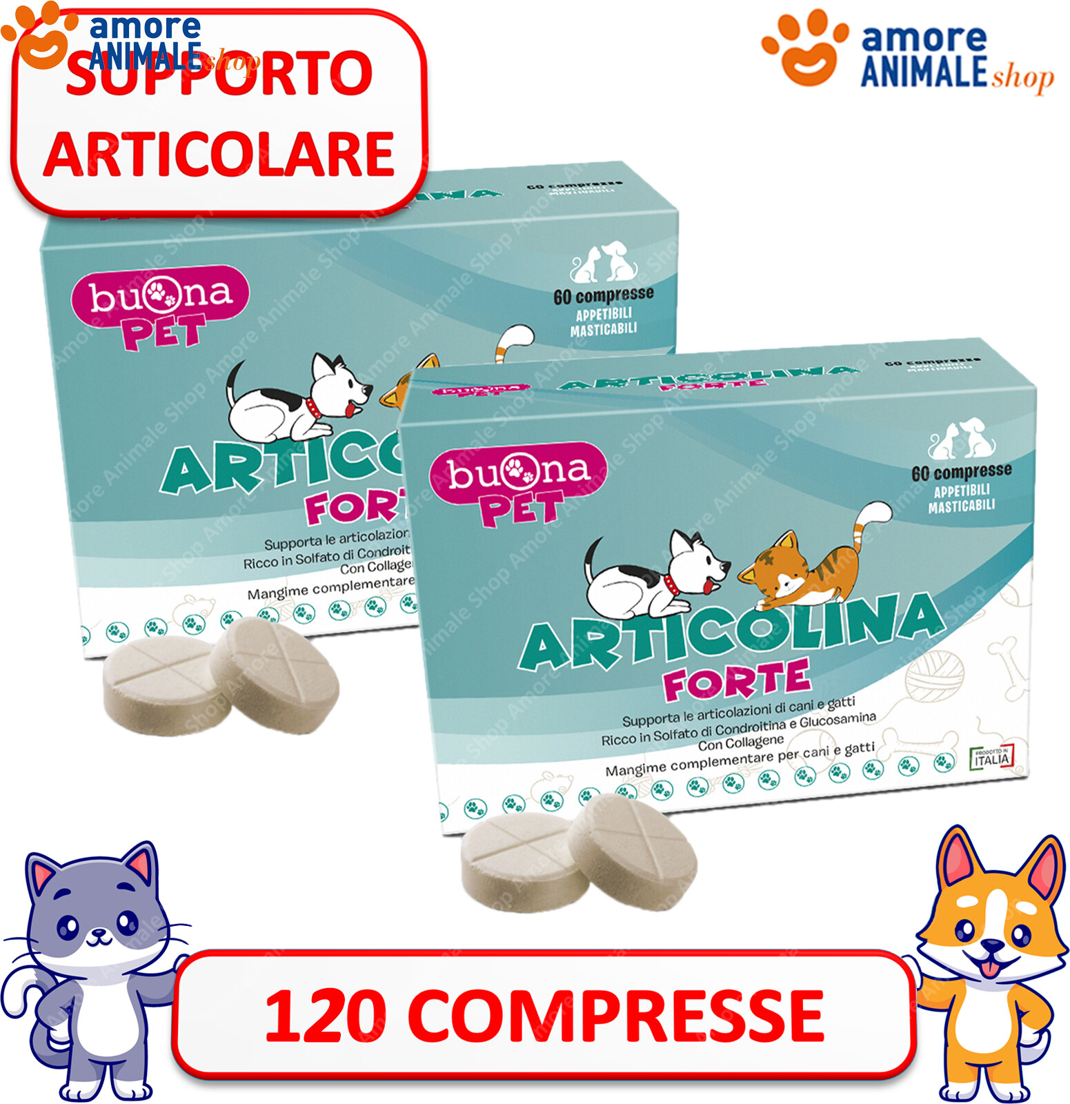 Foto 4 di 4
