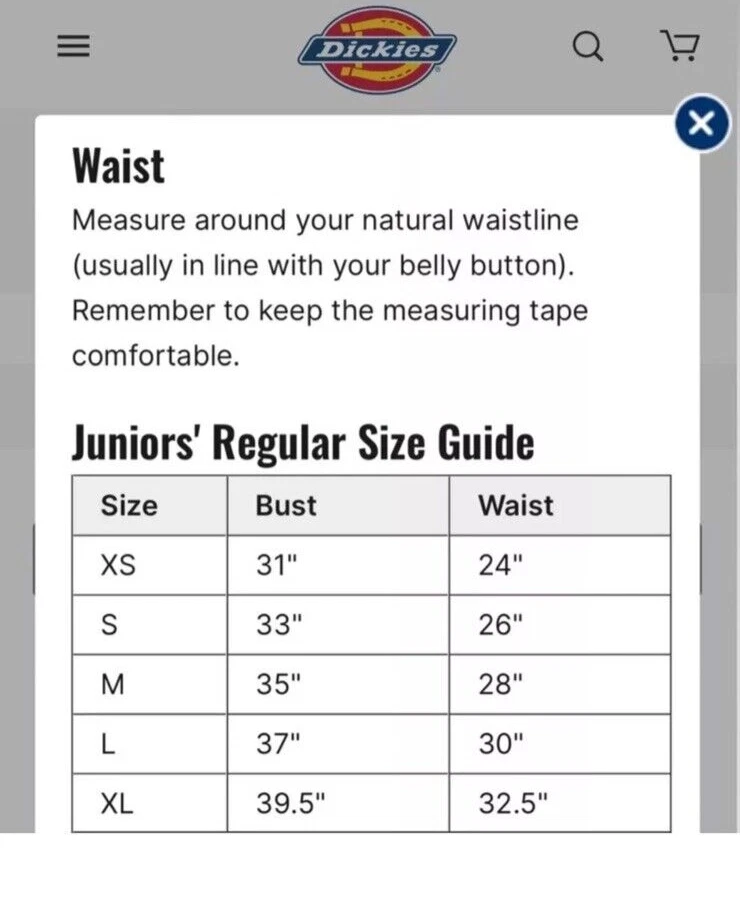 NOVA calcinha hipster Dickies menina júnior pacote com 3 tamanho grande sem costura - Imagem 2 de 2