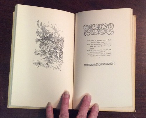 Grandmother' Story Of Bunker Hill Battle As She Saw It From The Belfry (1925) - Imagen 12 de 12