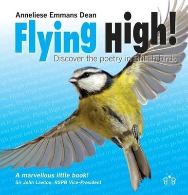 Flying High: Discover the Poetry in British Birds,Anneliese Emma