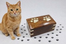 Handmade Rosewood Urn - Brass Paws Pet Memorial