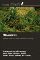 Mohamed Abdel-Raheem (U. A.) | Micorrizas | Taschenbuch | Spanisch (2024)