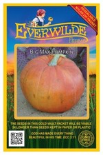1 Oz Big Max Pumpkin Seeds - Everwilde Farms Mylar Seed Packet