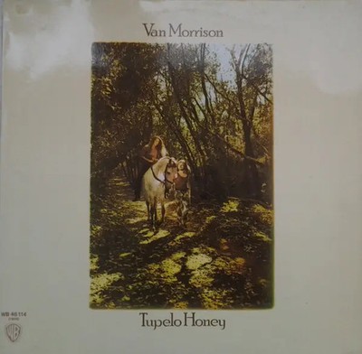 Van Morrison Tupelo Honey NEAR MINT Warner Vinyl LP