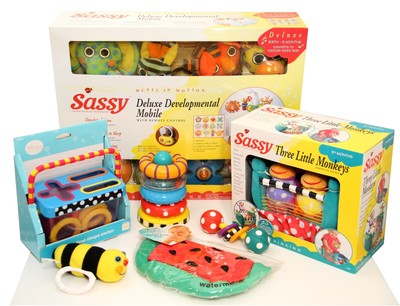 sassy toy box